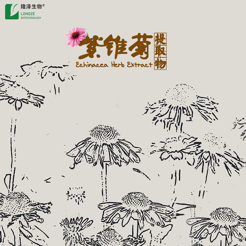  Echinacea Purpurea Extract Powder With Polyphenols Cichoric Acid