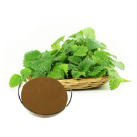 Lemon Balm Extract