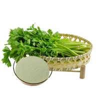 Natural Celery Powder