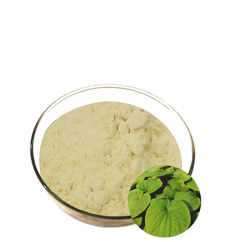 Kava Kava Extract Powder