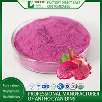 Red Dragon Fruit Extract Powder Pink Pitaya Dragon Fruit Powder