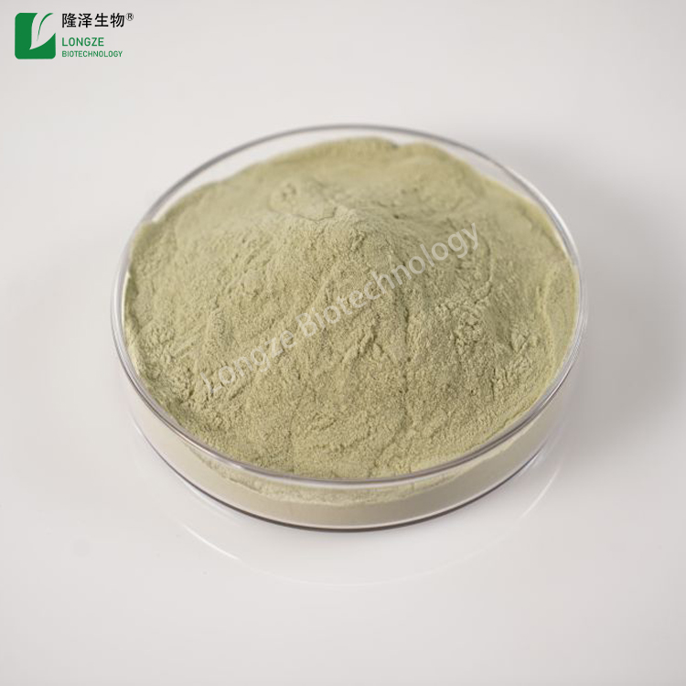 Concentrated Spinach Extract China factory Longze Biotechnology
