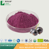 Blackcurrant Extract Powder