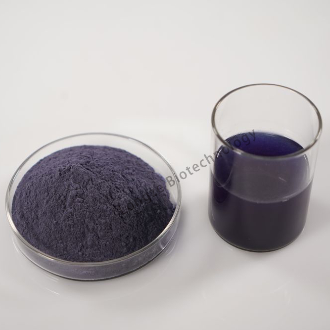Butterfly Pea Extract 