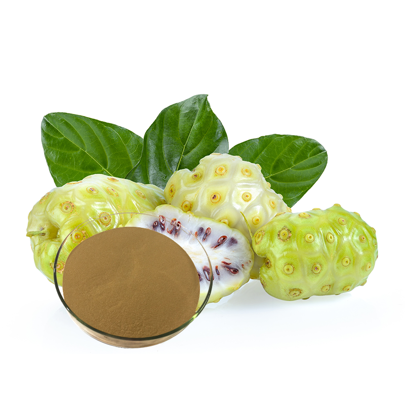 Noni Powder for hair supplier&manufacturer Longze Biotechnology