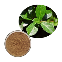 Chinese Bilberry Leaf Extract Powder