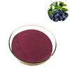 Plant Extract From Fruit Bilberry Anthocyanidins