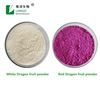Hot Selling Red Dragon Fruit Powder Supplier