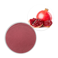 Natural Pomegranate Extract Powder