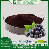 Blackcurrant Extract Powder