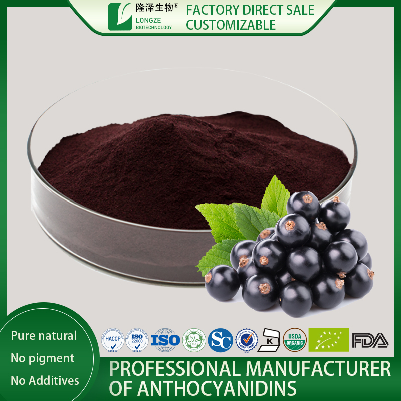 Black Currant Fruit Extract Powder