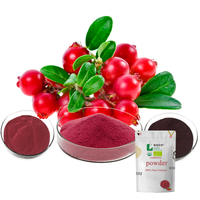 Cranberry Fruit Powder Plant Extract