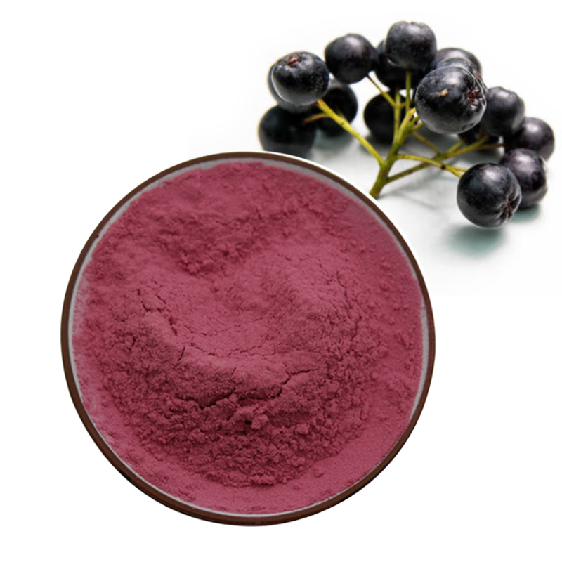 Aronia Chokeberry Extract