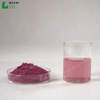 Blackcurrant Extract Powder