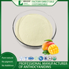 Mango Fruit Extract Powder Excellent Water Soluble/mango Seed Extract Powder