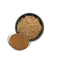 Siberian Ginseng Extract Powder