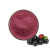 Aronia Chokeberry Extract