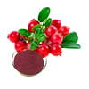 High Quality Cranberry Extract 10% Proanthocyanidins