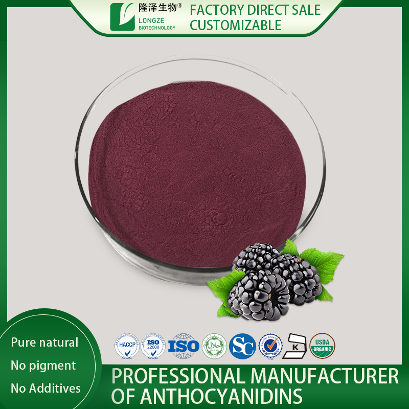 Blackberry Extract for Sale Longze Biotechnology