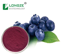 Nutrition supplements Bilberry Fruit Powder Chinese Bilberry Extract Powder
