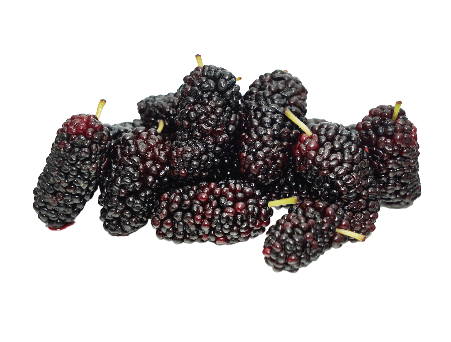 What are the health benefits of mulberry extract?