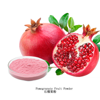 Chinese Pomegranate extract Powder
