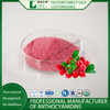 Cranberry Standardized Extract Cranberry Powder