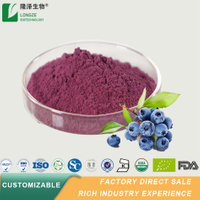 Blueberry Concentrate Powder