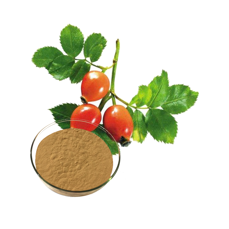 Rose Hip Extract Rose Hip Powder - Longze Biotechnology