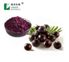 Plant Extract From Fruit Acai Berry Powder