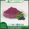 Bilberry extract