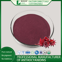 Best Hibiscus Extract Price From The End Supplier 