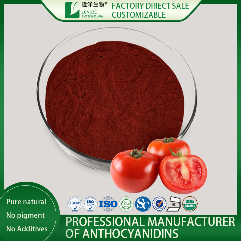bulk Lycopene Extract powder for Sale Longze Biotechnology