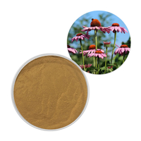 Echinacea Polyphenols 4% Echinacea Extract