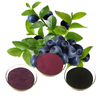 Bilberry (Vaccinium Myrtillus) Plant Extract Powder