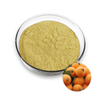 Water soluble Loquat Fruit Extract Powder 