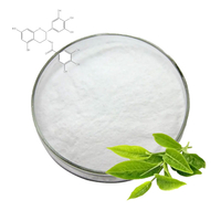 Pure Green Tea Extract Powder