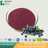 Black Currant Fruit Extract