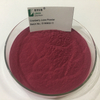 High Quality Cranberry Extract 10% Proanthocyanidins