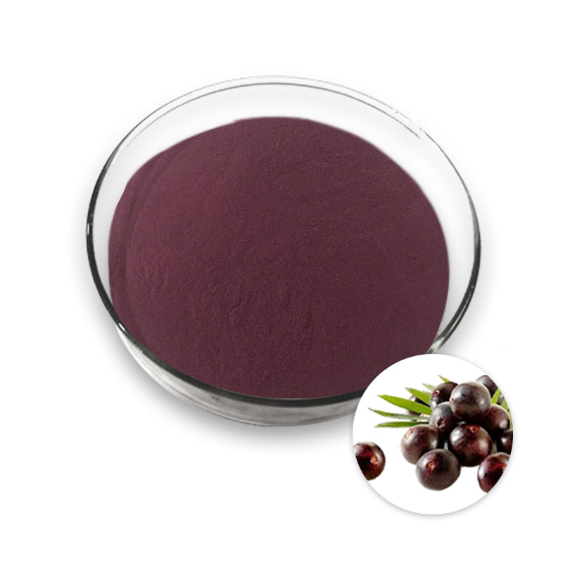Acai Berry Fruit Extract Powder Anthocyanidin & Polyphnols 1-25% UV