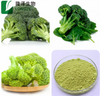 Broccoli Extract Broccoli Extract Powder