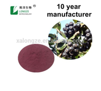 Chinese Chokeberry extract Powder