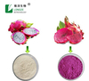Hot Selling Red Dragon Fruit Powder Supplier