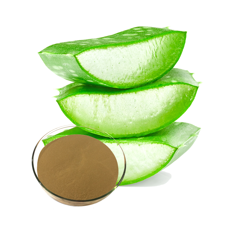 Aloe Vera Extract Powder